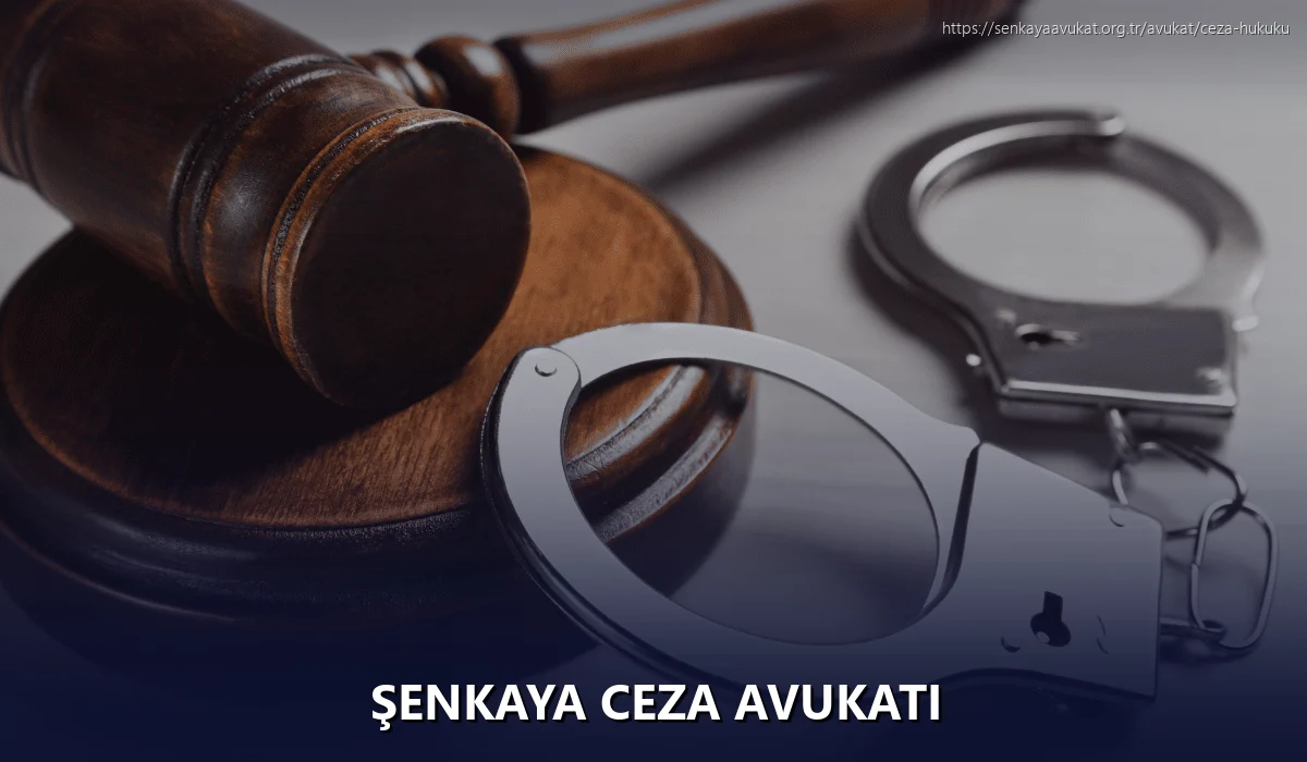 Şenkaya Ceza Avukatı