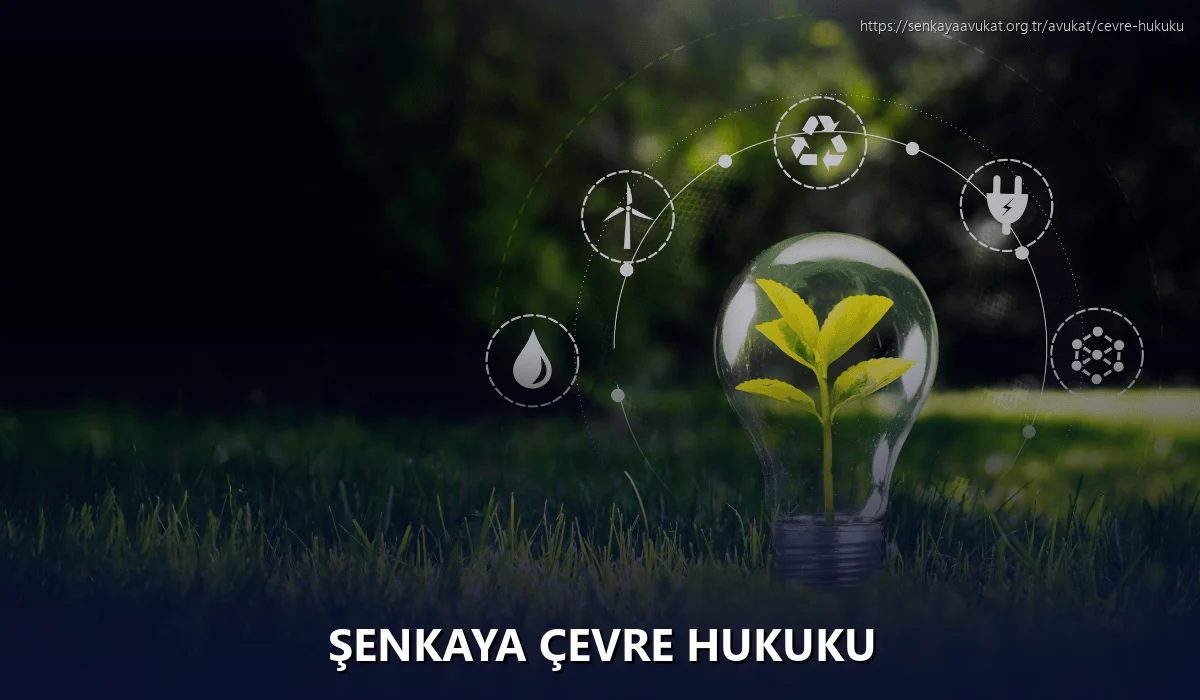 Şenkaya Çevre Hukuku